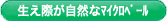 生え際が自然なマイクロベール