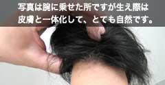 �畆�ƈ�̉�